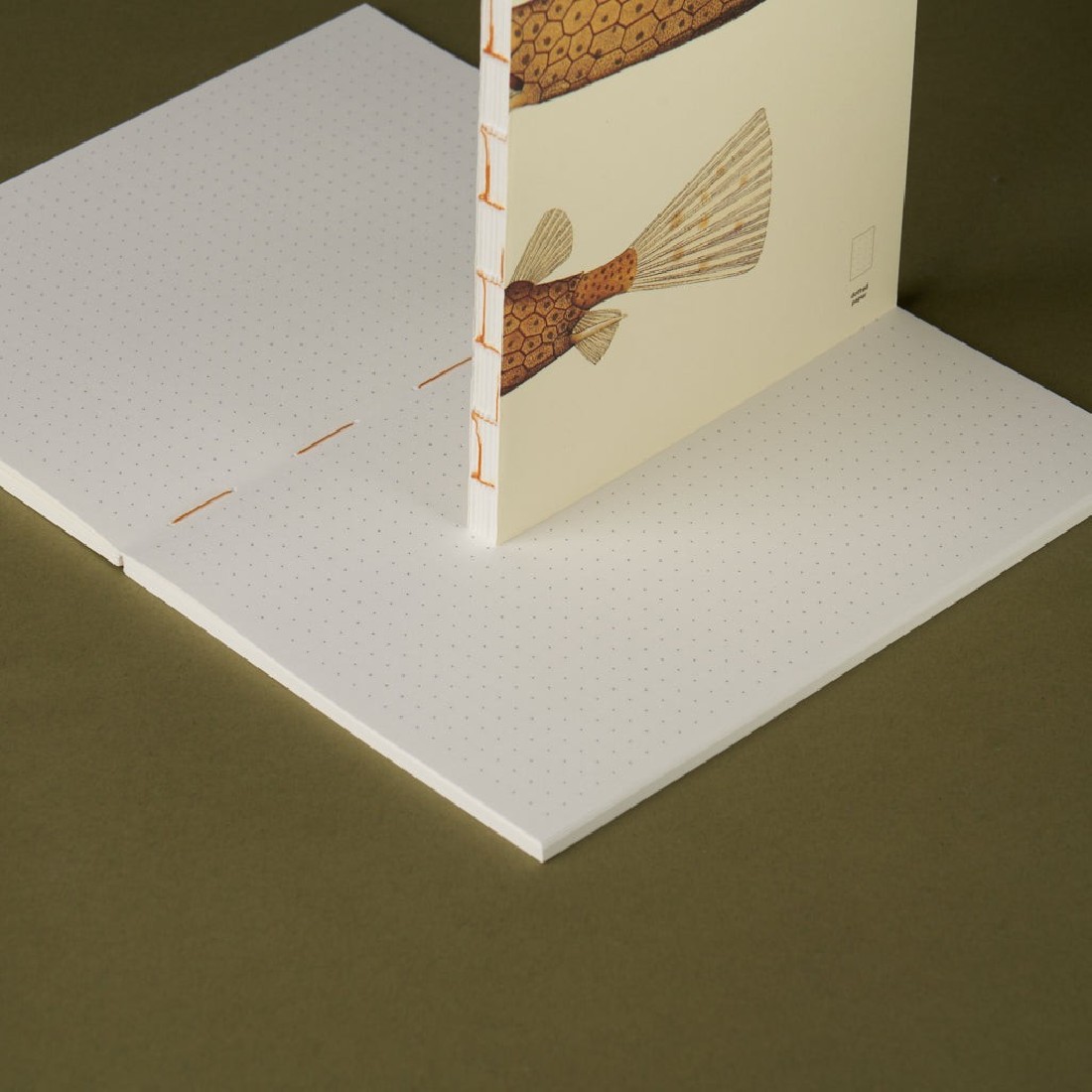 Paper Republic pocket 9,5x14cm book dotted refill x The Dybdahl Co. The Little Longhorn Cowfish (Ostracion Cornutus).