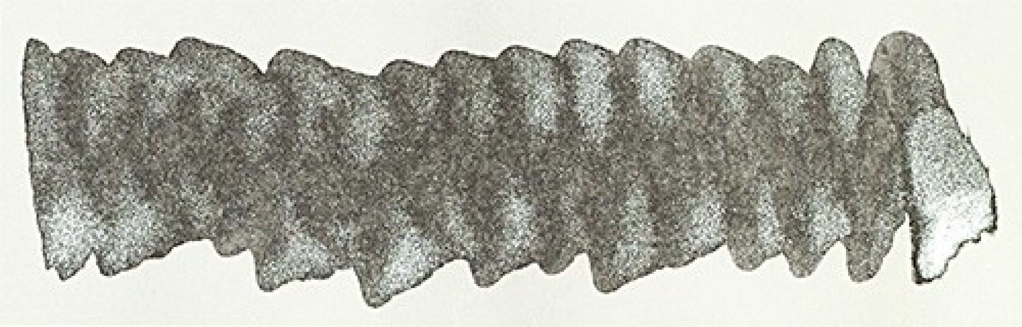 Diamine 50ml Moon Dust Fountain pen shimmer ink bottle
