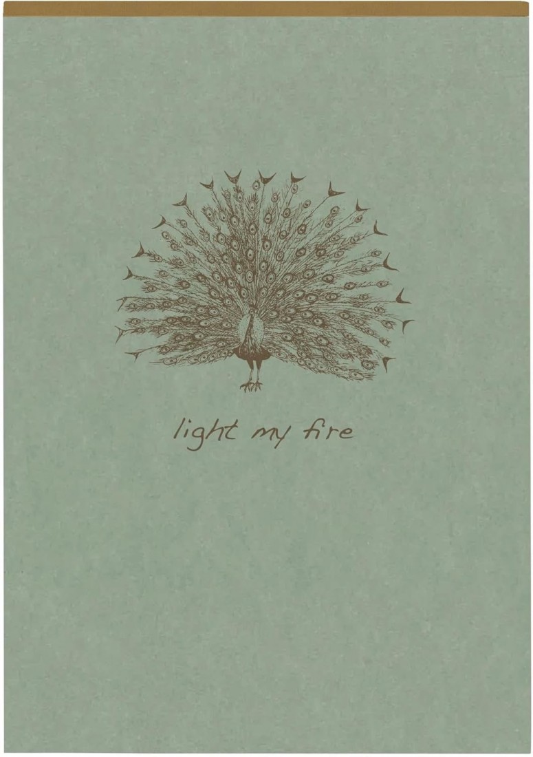 Clairefontaine - 107636C – A pad with glue head Flying Spirit A5, 14.8 x 21 cm, 140 pages, lined, removable, ivory paper, 90 gSM, cardboard cover, green