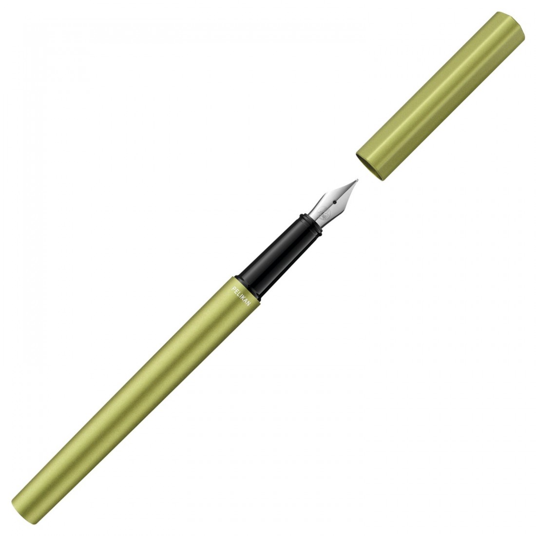 Pelikan Ineo Elements P6 aluminium fountain pen with metal case green oasis