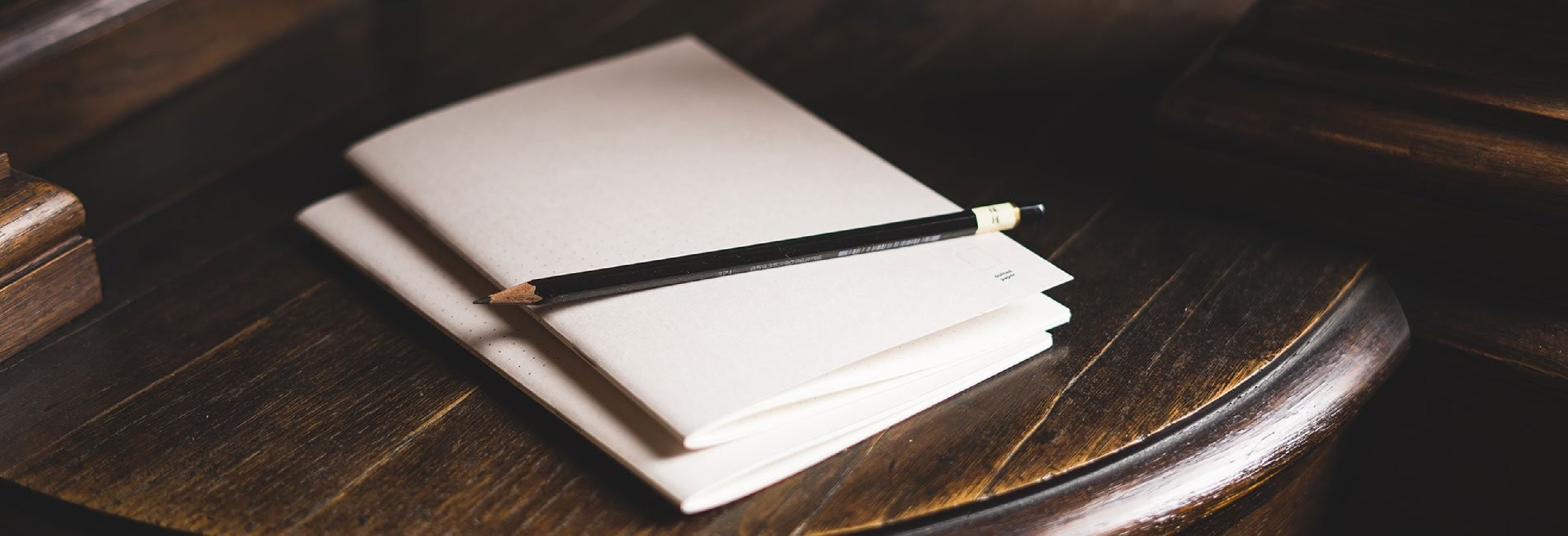 Paper Republic 2 x notebooks (xl) dotted
