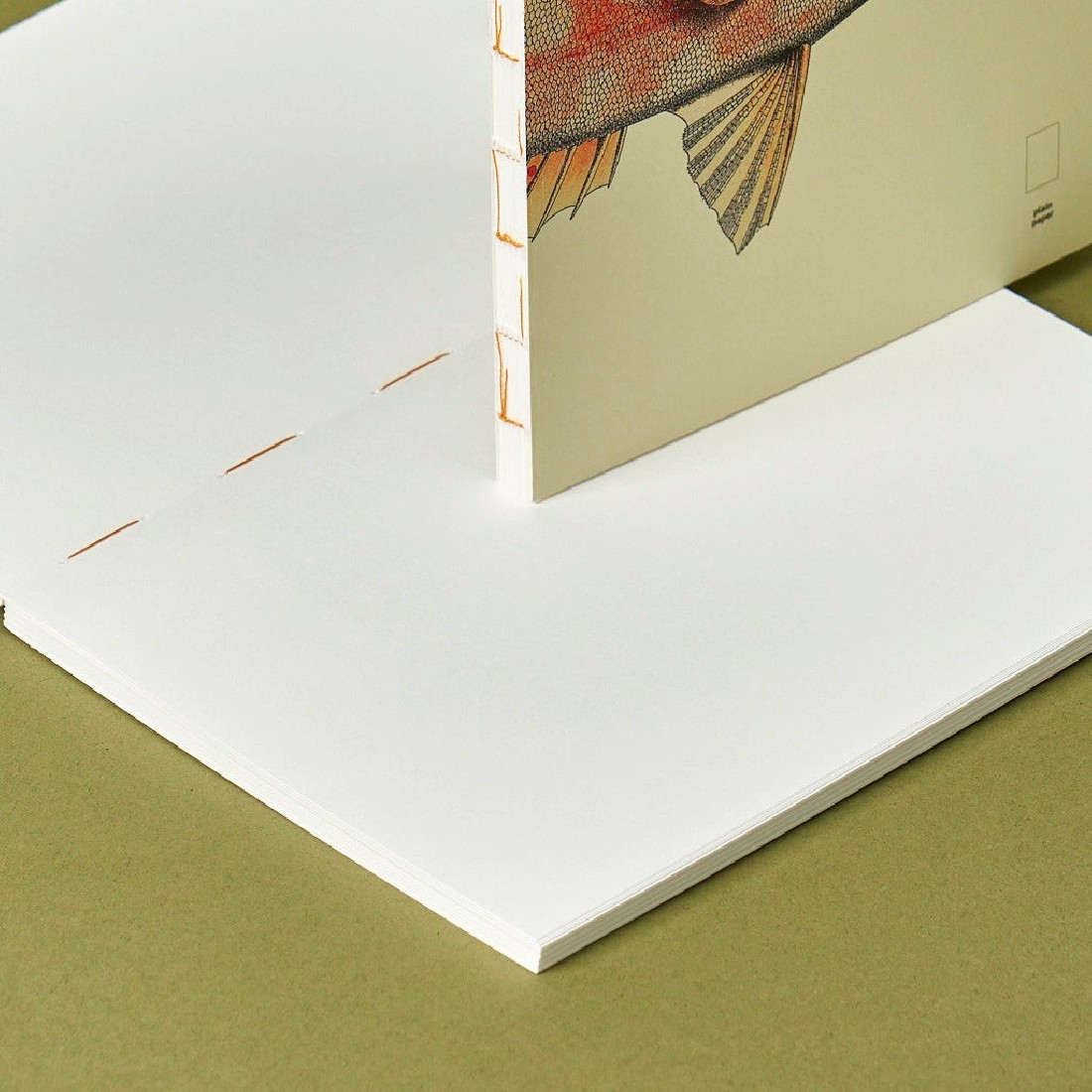 Paper Republic Reef Book Refill XL Plain.