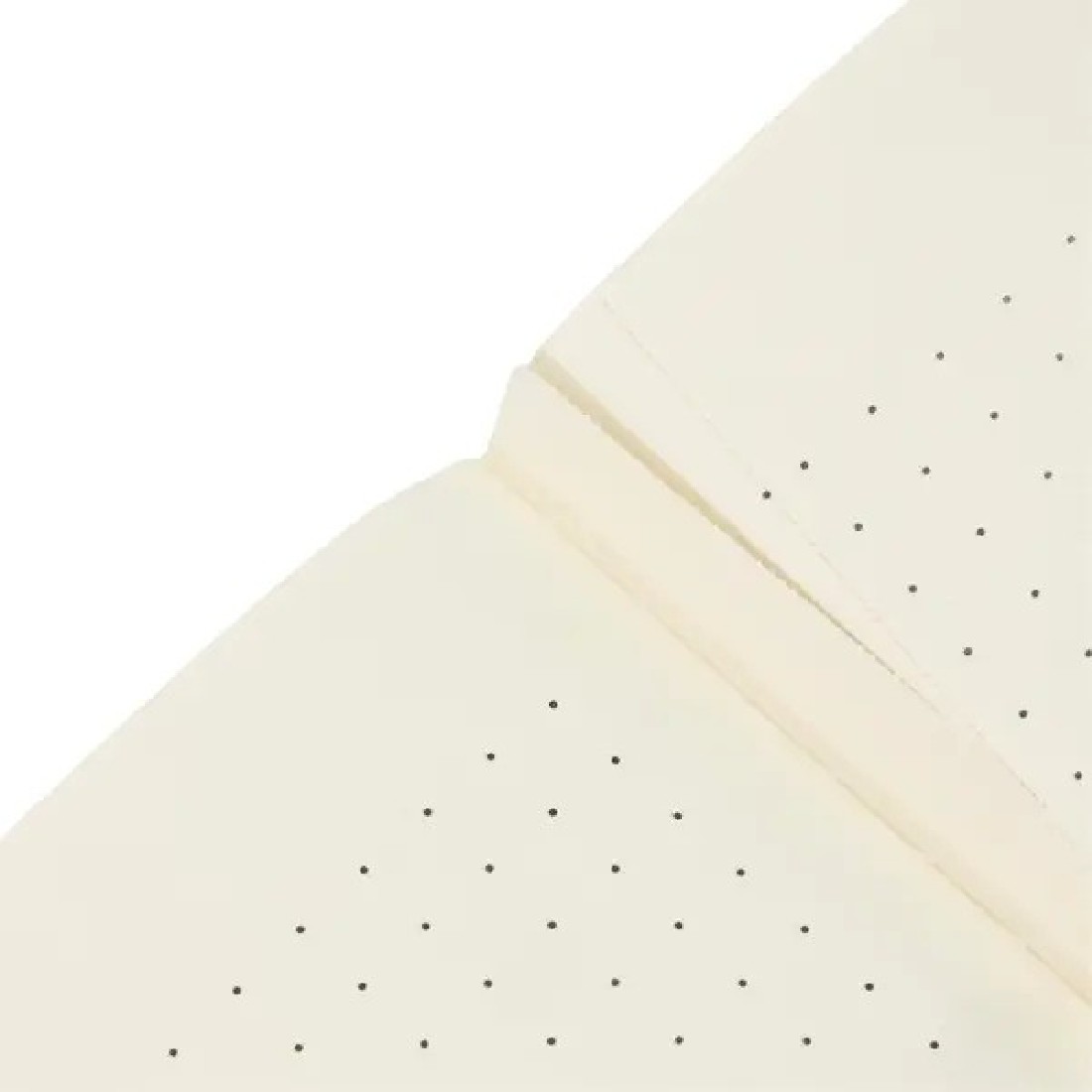 Paperblanks A4 cahier dotted Wordscapes, Free your Mind