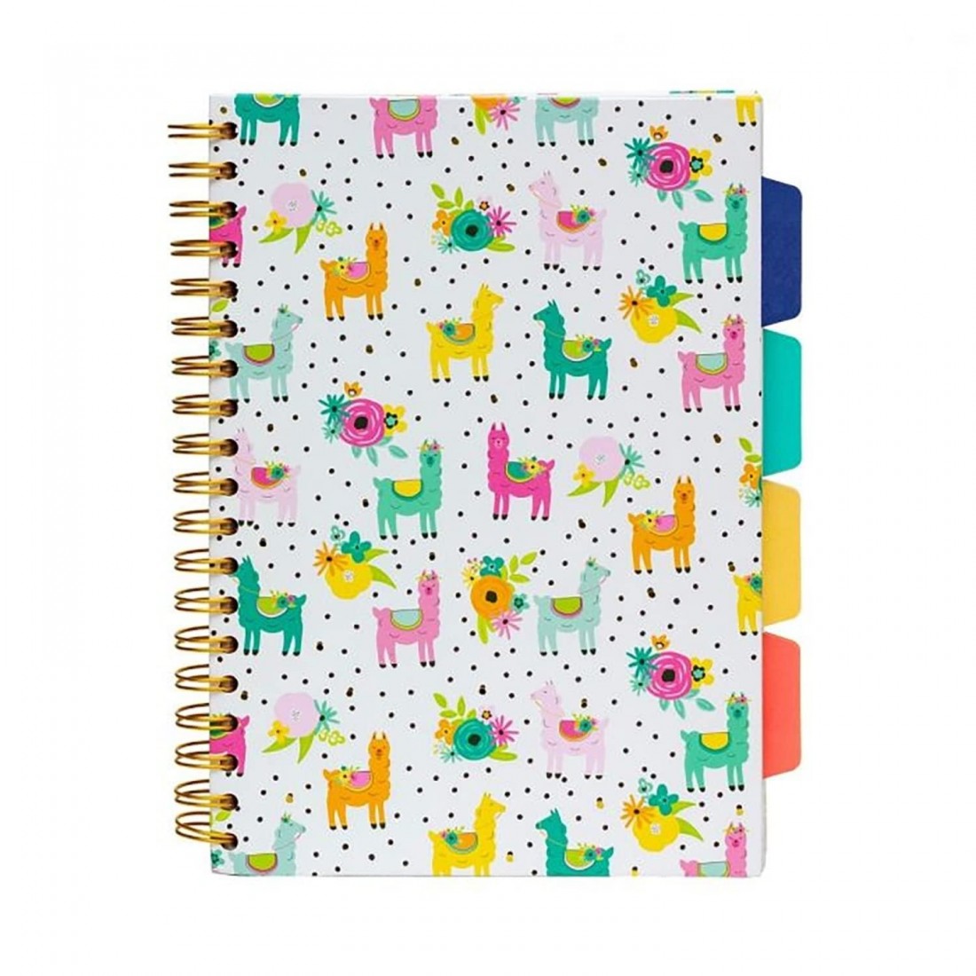 Pukka Pad notebook spiral A5 με 4 θέματα, ριγέ, Carpe Diem, 200 σελίδες, 9032(LA)