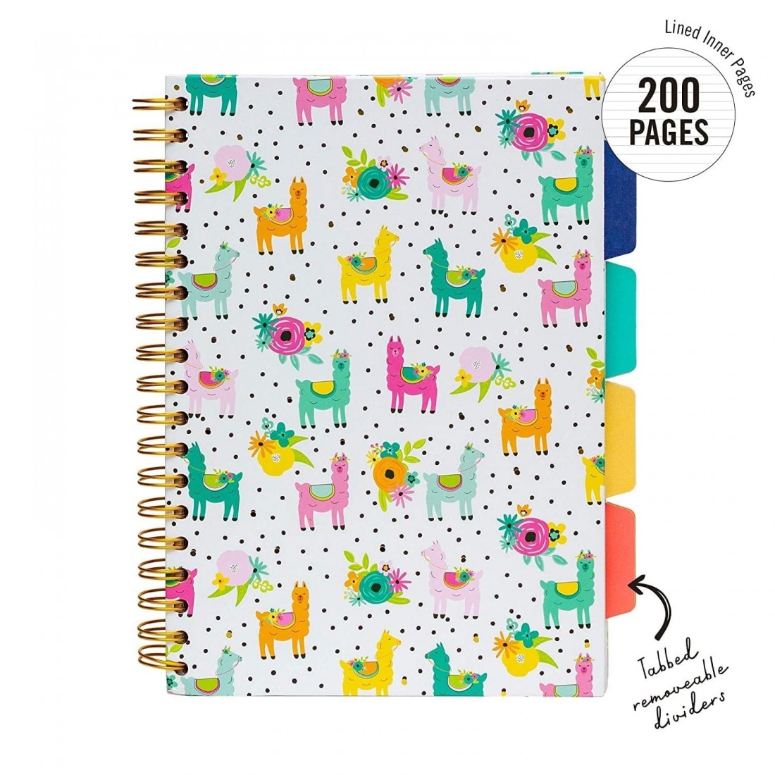 Pukka Pad notebook spiral A5 με 4 θέματα, ριγέ, Carpe Diem, 200 σελίδες, 9032(LA)
