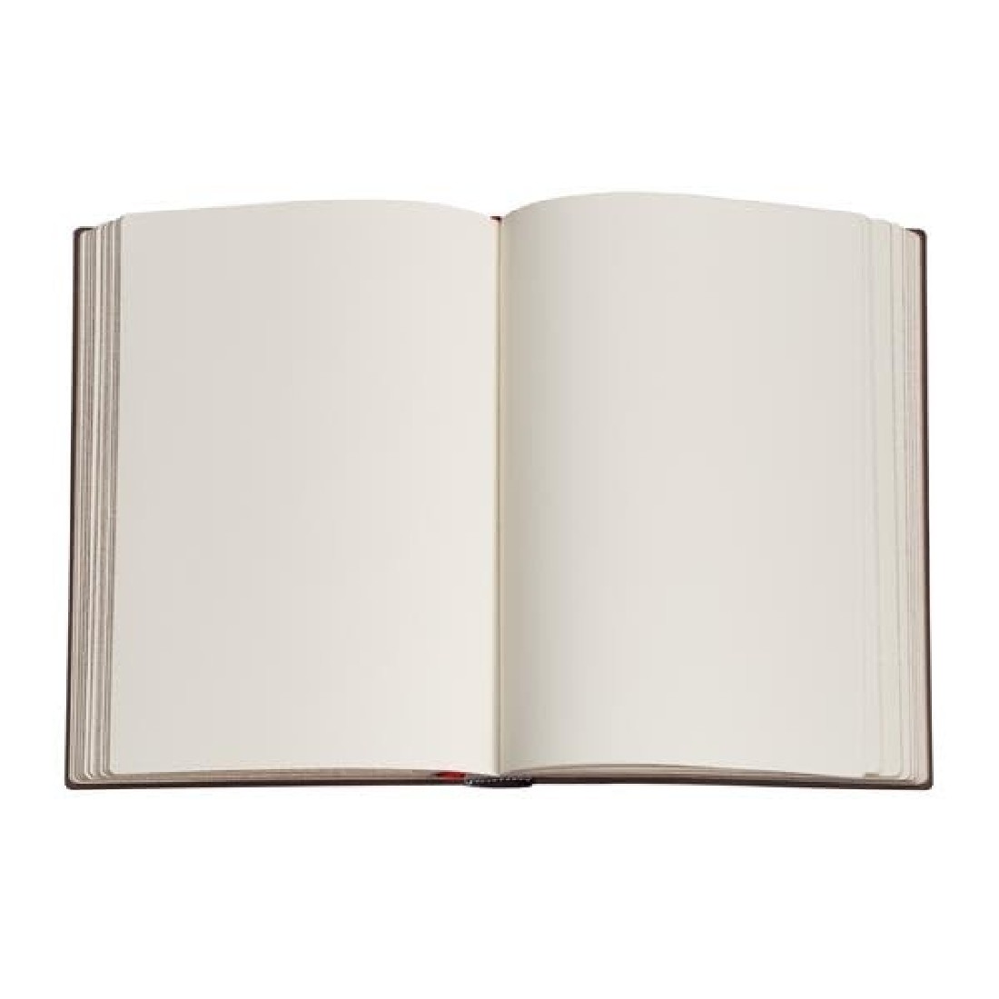 Paperblanks Notebook Asterix The Gaul Ultra Plain