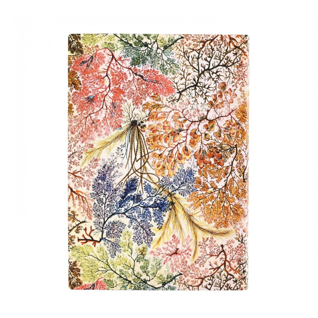 Paperblanks Notebook Flexis Anemone Midi Lined