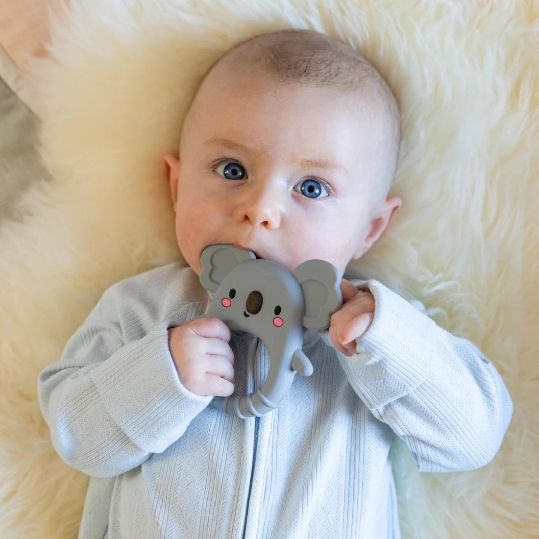 Παιχνίδι Οδοντοφυΐας – Silicone Teether Koala 20301 Tiger Tribe