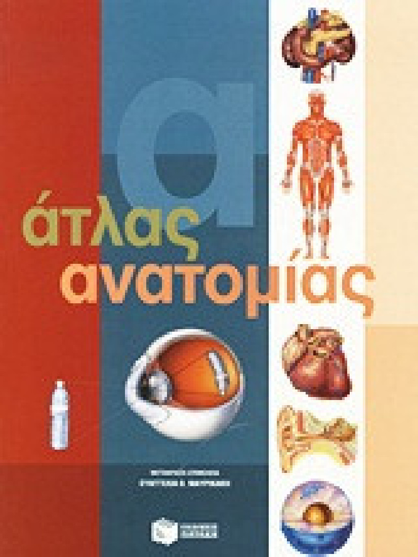 Άτλας ανατομίας.