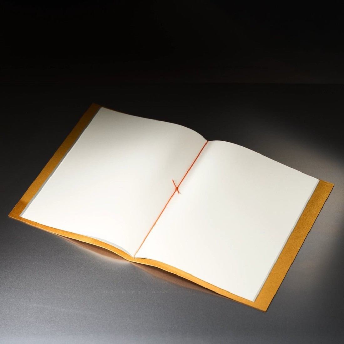 Paper Republic grand voyageur A4 Firenze leather journal