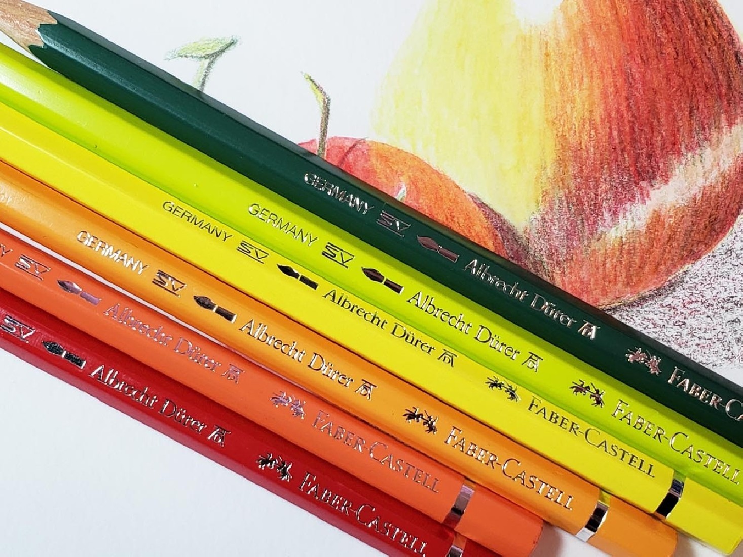 Faber Castell watercolour pencil Albrecht Durer