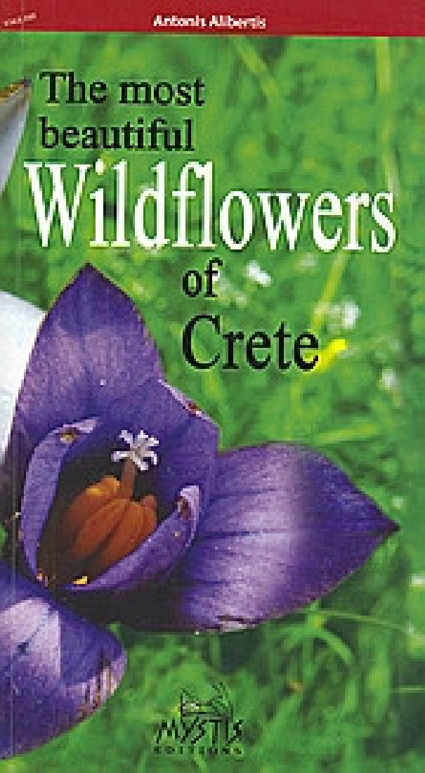 The Most Beautiful Wildflowers of Crete