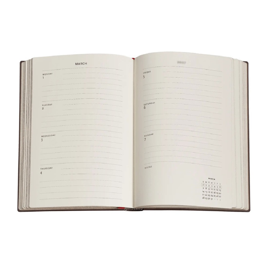 Paperblanks diary 12-Month 2027 weekly horizontal midi  13x18cm, 176  pages, softcover Lynx Rising