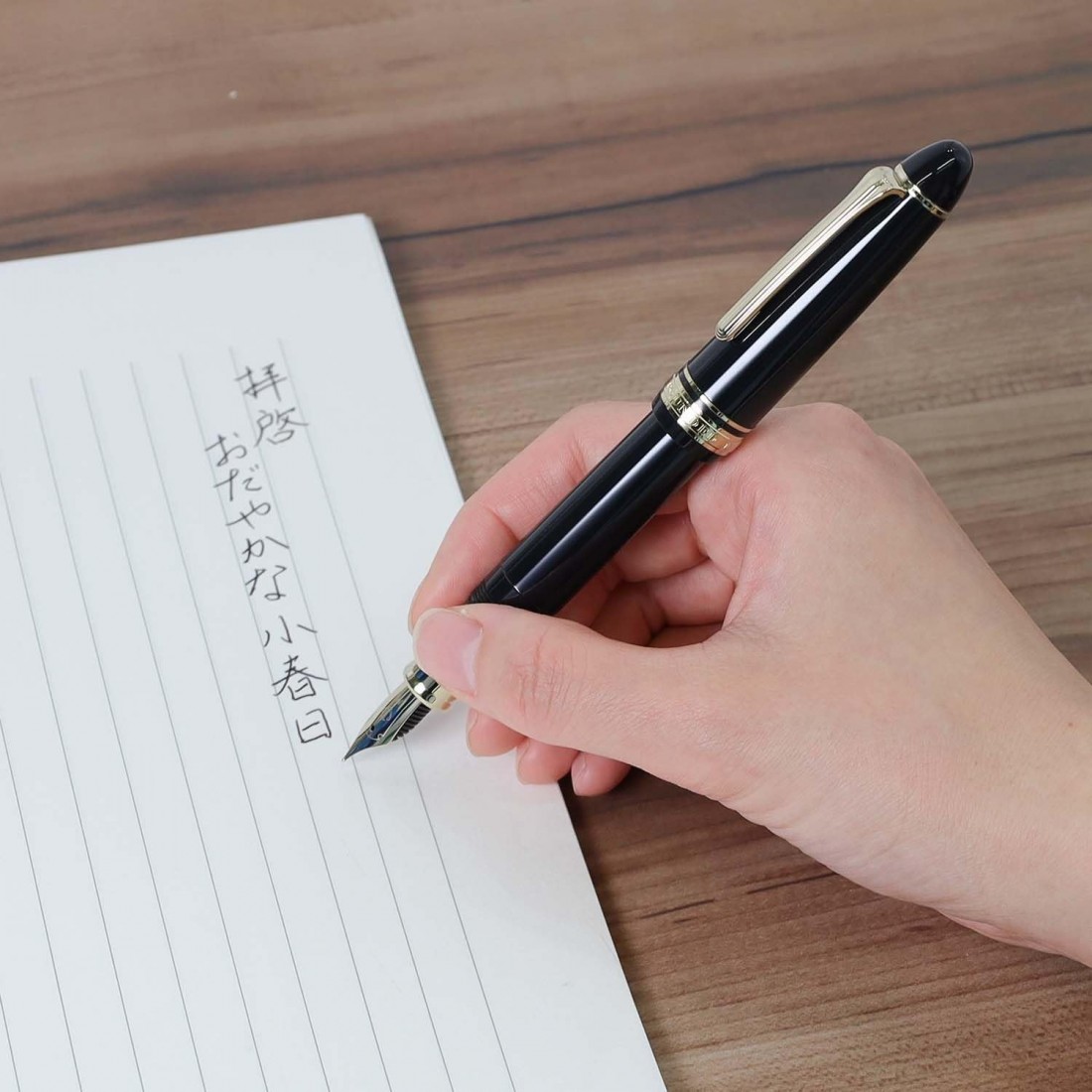 Sailor Profit Casual L Stable black GT Fountain pen with converter 11-0825-420