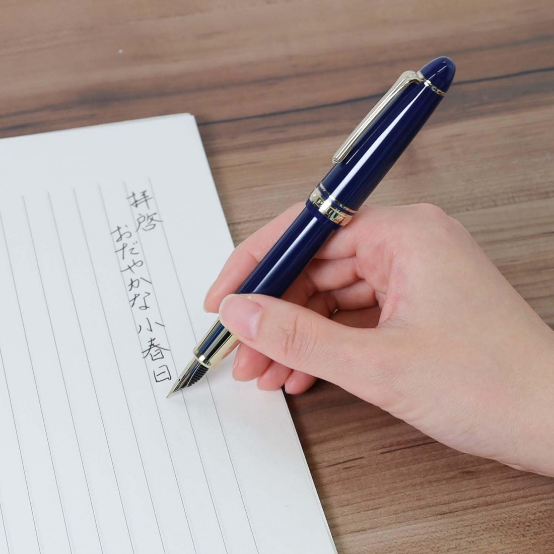 Sailor Profit Casual L Stable blue GT Fountain pen with converter 11-0825-240
