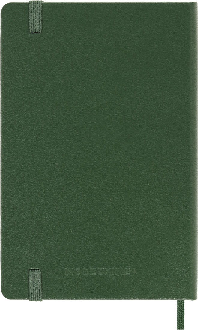 Moleskine daily diary 2027 pocket 9x14, hard cover green