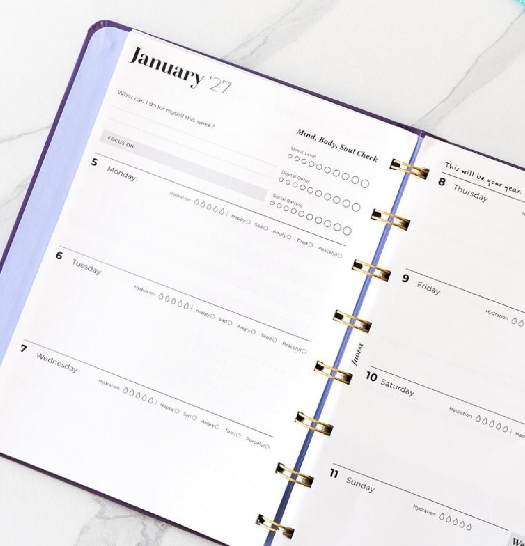 Filofax Ultimate Life Companion A5 Planner My Plans Plum 2027 27-68314