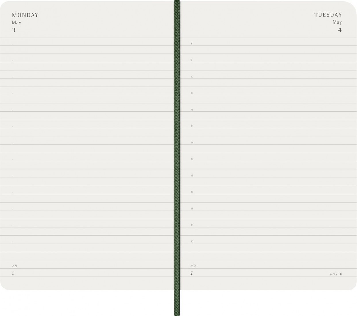 Moleskine Classic Planner 2027 Large 13x21cm, Daily, soft cover, 12 months, Myrtile Green