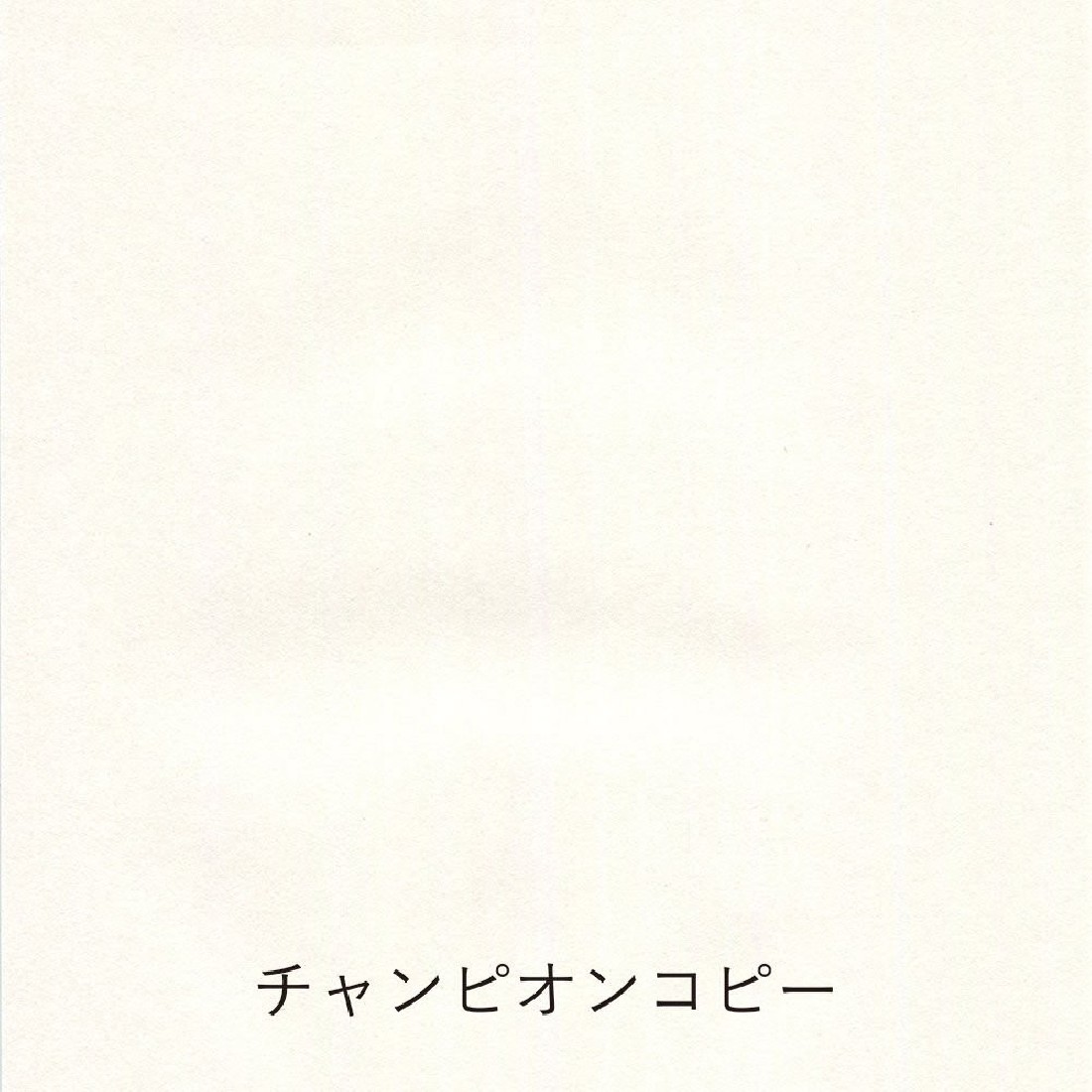 Yamamoto Paper Tasting Thin Paper for writing Pen Friendly Onionskin vol.3