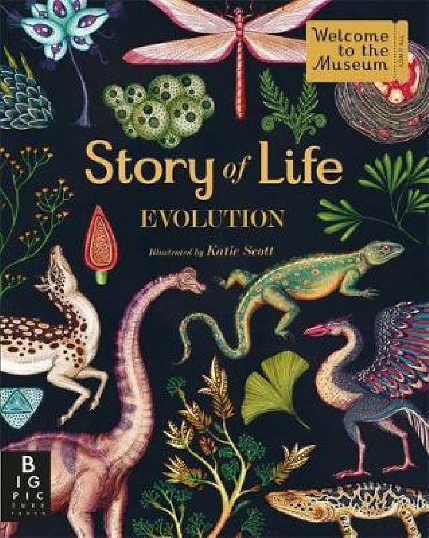 STORY OF LIFE : EVOLUTION PB